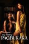 Viva Hot Babes Muling pagbukaka (2026) Viva Hot Babes: Muling pagbukaka (2026)